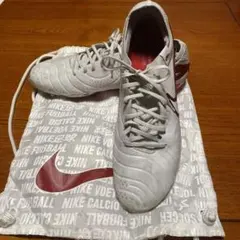 ナイキ ティエンポ レジェンド10 エリート FG 30cm