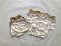 新品　コットンセットアップ　半袖T ショートパンツ　女の子　男の子　無地