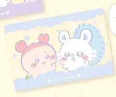 ちいかわ⭐︎超BIGマイヤーブランケット　【古本屋&モモンガ】