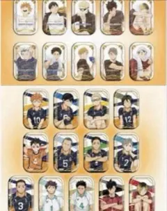 ハイキュー‼︎ スクエア缶バッジ セット クールダウン おすわり セブンネット限定