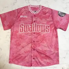 Item thumbnail for item 0c828eaa-dde7-4d78-83e6-9c2b2970b332