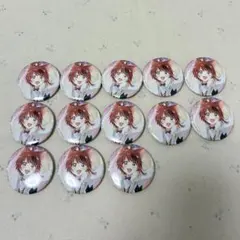 すとぷり 莉犬 Here We Go!! アニメイト 特典缶バッジ 13枚セット