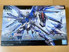新品未開封 ライジングフリーダム デュエルブリッツ グフ