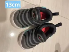NIKE ナイキ ダイナモフリー DYNAMO FREE 13