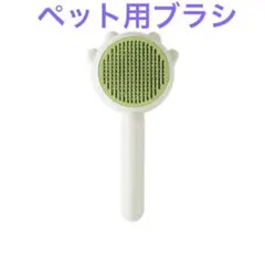 Item thumbnail for item 9c794e79-c92d-4bd3-8d84-68d451766c3d