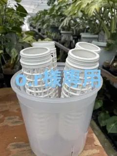 o.r様専用　鉢、ポール、タイコン