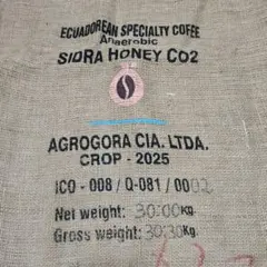 Item thumbnail for item c82113b3-eef7-4100-bfb2-fb226ee3a5da