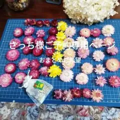 Item thumbnail for item 9a29c668-fdff-4395-af52-83587e4eb50a