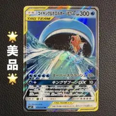 코이킹 & 호엘오 GX RR SM9 태그 볼트 019/095 ⑩A