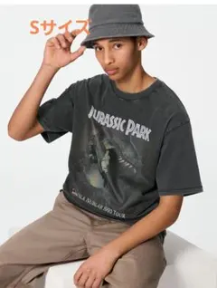 グラフィックtシャツ Tシャツ