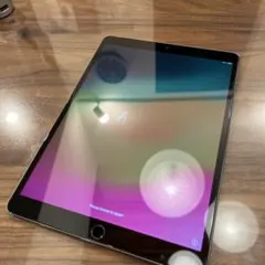 iPad Pro 第一世代 10.5インチ 256GB WIFiモデル