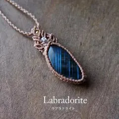 値下げ ツキノワクマ 牙 XOLO JEWELRY ショロ ジュエリー - メルカリ