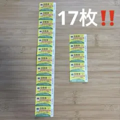 長井海の手公園　ソレイユの丘　回数券　17枚　6800円分