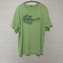 デルタ Tシャツ クルーネック 半袖 花 L 緑 綿 お出かけ ビッグサイズのサムネイル