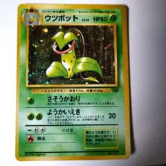 旧裏 全面ホロ弱 十字】ウツボット ☆ 第2弾拡張パック ポケモン