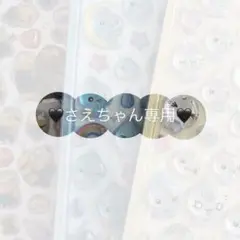 さえちゃん専用 シールセット