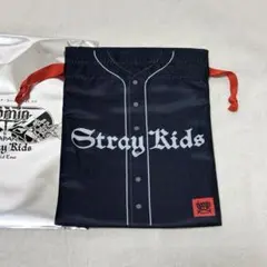 StrayKids VR dominATE チャンビン 巾着ポーチ