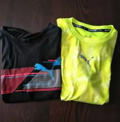 PUMA Tシャツ　セット 黒　蛍光イエロー　半袖