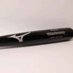 Item thumbnail for item 832a267b-71f3-4af2-b73f-5ad36f849d1f