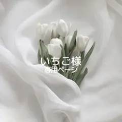 いちご様専用ページ