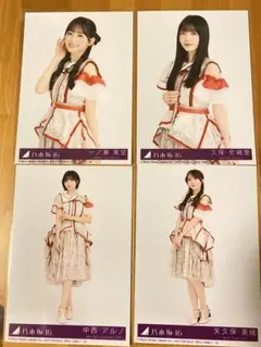 乃木坂46 ビリヤニ封入写真4枚セット