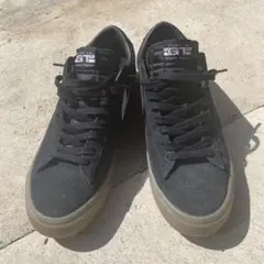 Nike SB ZOOM BLAZER LOW PRO GT サイズ　11/29