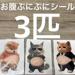 おなかぷくぷくシール 3Dシール お腹ぷにぷにシール 柴犬 猫 3匹