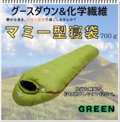 Item thumbnail for item 55ff0874-4b82-4504-8503-4b361ecce7f4