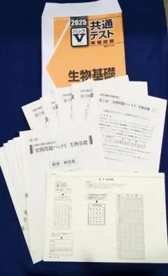 2025年最新】パックV 共通テスト 2025 情報の人気アイテム