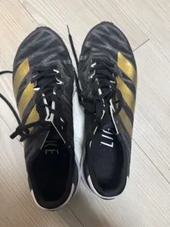 Item thumbnail for item e7491d53-6e5a-4396-b792-f258d7307428