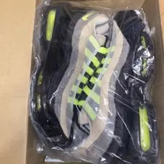 Nike Air Max 95 DNHM 8.5 エアマックス　イエグラ