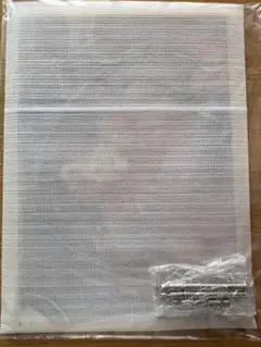 鬼滅の刃 無限城編 第一章 第五弾 WEBSHOPくじ A賞 01 我妻善逸