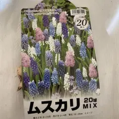 花だより8739様 リクエスト 2点 まとめ商品