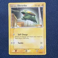 【英語版】TEAM AQUQ’S Electrike アクア団のラクライのサムネイル