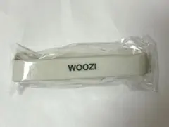 SEVENTEEN RIGHT HERE カプセルトイ ウジ