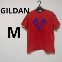 スーパーマンロゴ Tシャツ GILDAN【M】