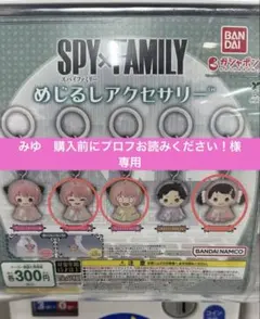 SPY×FAMILY めじるしアクセサリー