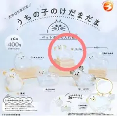 ★新品未開封 正規品 うちの子のけだまだま 犬 プードル