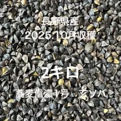 信州産　玄ソバ　そばの実　2キロのサムネイル