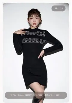 Darich DDロゴジャガードニットミニワンピース