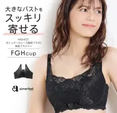 エメフィール　HIGHEST カシュクール　レース脇高ブラ　　G75