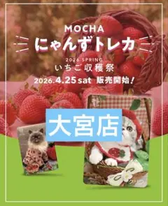 2026年最新】猫カフェmocha トレカの人気アイテム - メルカリ