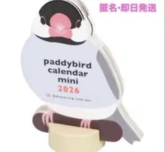 新品未使用　文鳥 ミニ卓上カレンダー paddybird mini 2026即日のサムネイル