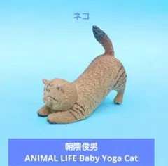人気【朝隈俊男】ANIMAL LIFE Baby Yoga Cat　猫のサムネイル