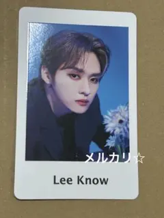 straykids スキズ フォトカードセット maniac トレカ　リノ