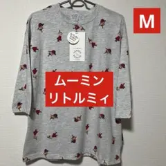 Item thumbnail for item 82b3afb8-2bc0-4e25-9b8b-b38c3dc6bcd1