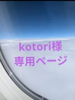 kotori様 リクエスト 2点 まとめ商品