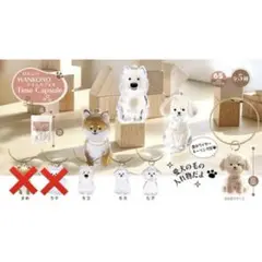 わんこのタイムカプセル3種 （バラ売り⭕️）