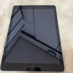 Apple iPad シルバー 本体 ５世代