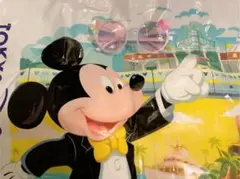 ディズニー　新品　マリーちゃん　サングラス　ミッキー 猫耳　ファンキャップ